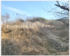  2024Ÿ3243  õ Ҹ  57-3      (Ӿ)