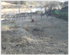  2024Ÿ��3595 ��� ��õ�� ������ ��渮 1190-2      ����(��1)���