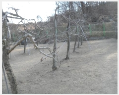  2024Ÿ��3595 ��� ��õ�� ������ ��渮 1190-2      ����(��1)���