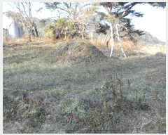  2024Ÿ��3595 ��� ��õ�� ������ ��渮 1190-2      ����(��1)���