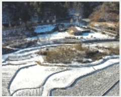  2024Ÿ��3632  ����