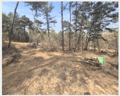  2024Ÿ��3687 ��� ���̽� �굿�� ���߸� 718      ����(��1)���