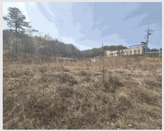  2024Ÿ��3687 ��� ���̽� �굿�� ���߸� 718      ����(��1)���