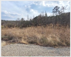  2024Ÿ��3687 ��� ���̽� �굿�� ���߸� 718      ����(��1)���