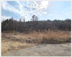  2024Ÿ��3687 ��� ���̽� �굿�� ���߸� 718      ����(��1)���