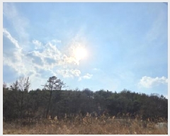  2024Ÿ��3687 ��� ���̽� �굿�� ���߸� 718      ����(��1)���