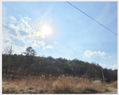  2024Ÿ��3687 ��� ���̽� �굿�� ���߸� 718      ����(��1)���