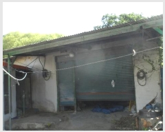  2024Ÿ16010  ̽  帮 366-1      ()