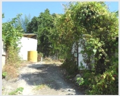  2024Ÿ16010  ̽  帮 366-1      ()