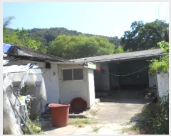  2024Ÿ16010  ̽  帮 366-1      ()