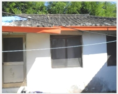  2024Ÿ16010  ̽  帮 366-1      ()