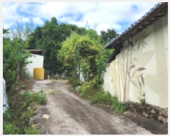  2024Ÿ16010  ̽  帮 366-1      ()