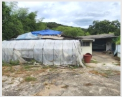  2024Ÿ16010  ̽  帮 366-1      ()