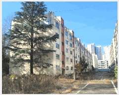  2024Ÿ17815  ̽ 5 50, 1 5505ȣ (,۸Ʈ)    Ʈ