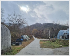  2024Ÿ��17891  �Ӿ߰��