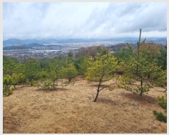  2024Ÿ��17891  �Ӿ߰��