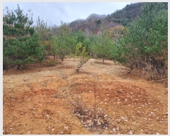  2024Ÿ��17891  �Ӿ߰��