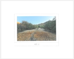  2024Ÿ��17891  �Ӿ߰��