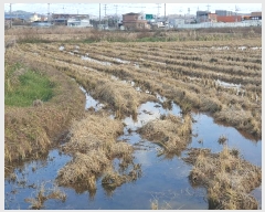  2024Ÿ��17921  ����