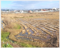  2024Ÿ��17921  ����