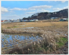  2024Ÿ��17921  ����