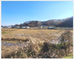  2024Ÿ��17921  ����