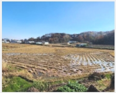  2024Ÿ��17921  ����