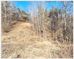  2024Ÿ��18443  ���������