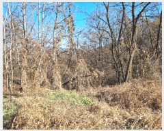  2024Ÿ��18443  ���������