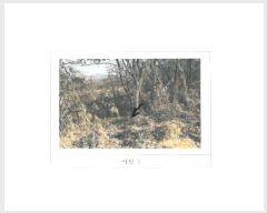  2024Ÿ��18443  ���������