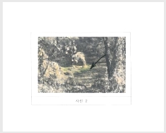  2024Ÿ��18443  ���������