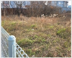  2024Ÿ��18528 ��� ��õ�� ��� 971-7       ����(����)���