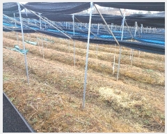  2024Ÿ459  õ   935-4      ð