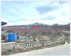  2024Ÿ459  õ   935-4      ð