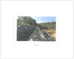  2024Ÿ2387  õ  45-1       (Ӿ)