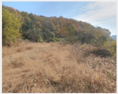  2024Ÿ3069  õ  ݰ 951      ()