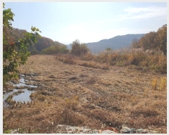  2024Ÿ3069  õ  ݰ 951      ()