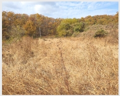  2024Ÿ3069  õ  ݰ 951      ()