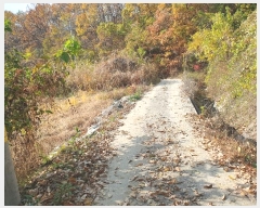  2024Ÿ3069  õ  ݰ 951      ()