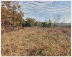  2024Ÿ3069  õ  ݰ 951      ()