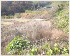  2024Ÿ3069  õ  ݰ 951      ()