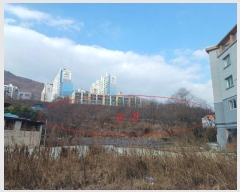  2024Ÿ3250  õ  717       (1)