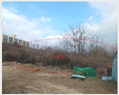  2024Ÿ3250  õ  717       (1)