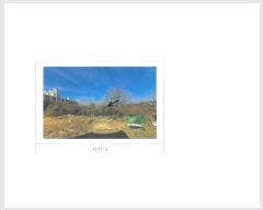  2024Ÿ3250  õ  717       (1)