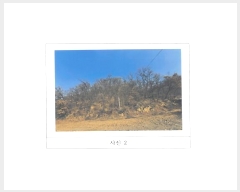  2024Ÿ3397  õ µ 33-25       (Ӿ)