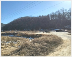  2024Ÿ��10197 ��� ���̽� ��õ�� �ݻ긮 336      ����(�������)���