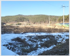  2024Ÿ��10197 ��� ���̽� ��õ�� �ݻ긮 336      ����(�������)���