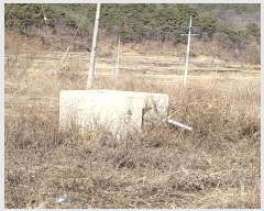  2024Ÿ��10197 ��� ���̽� ��õ�� �ݻ긮 336      ����(�������)���