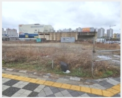  2024Ÿ11831  õ  1132       ()