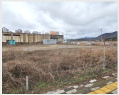  2024Ÿ11831  õ  1132       ()